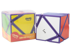 Lee 2x2 Axis Cube