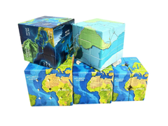 Ziina World Map 2x2 (B)