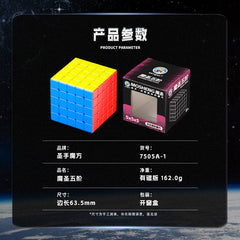ShengShou MoSheng 5x5